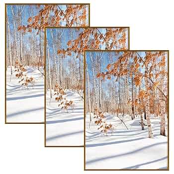 フォトフレーム ＊ ブロンズ Amazon.co.jp: Golden State Art、A1アルミニウム写真フレーム